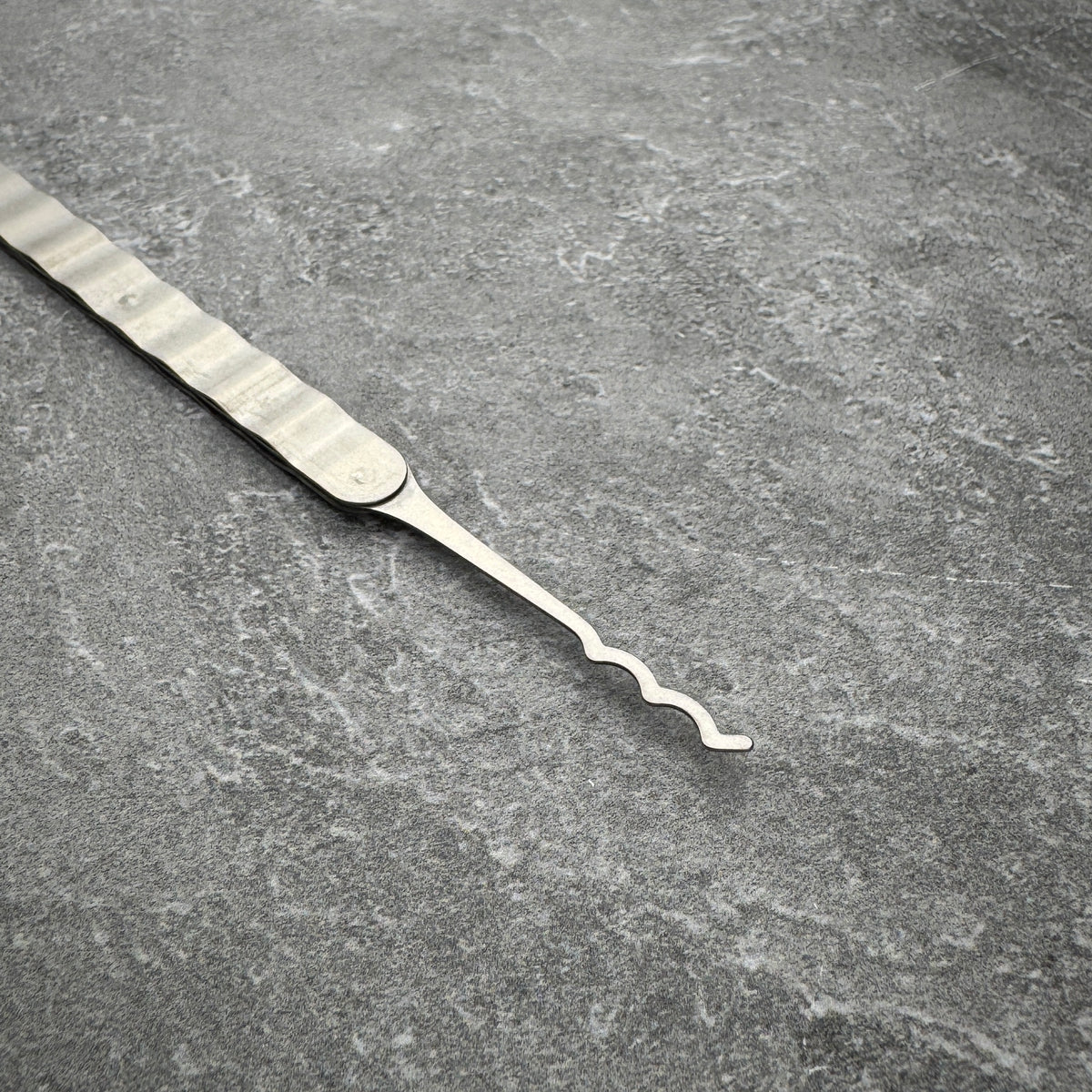 "The Next Level" Upgraded Lockpicks (Single)